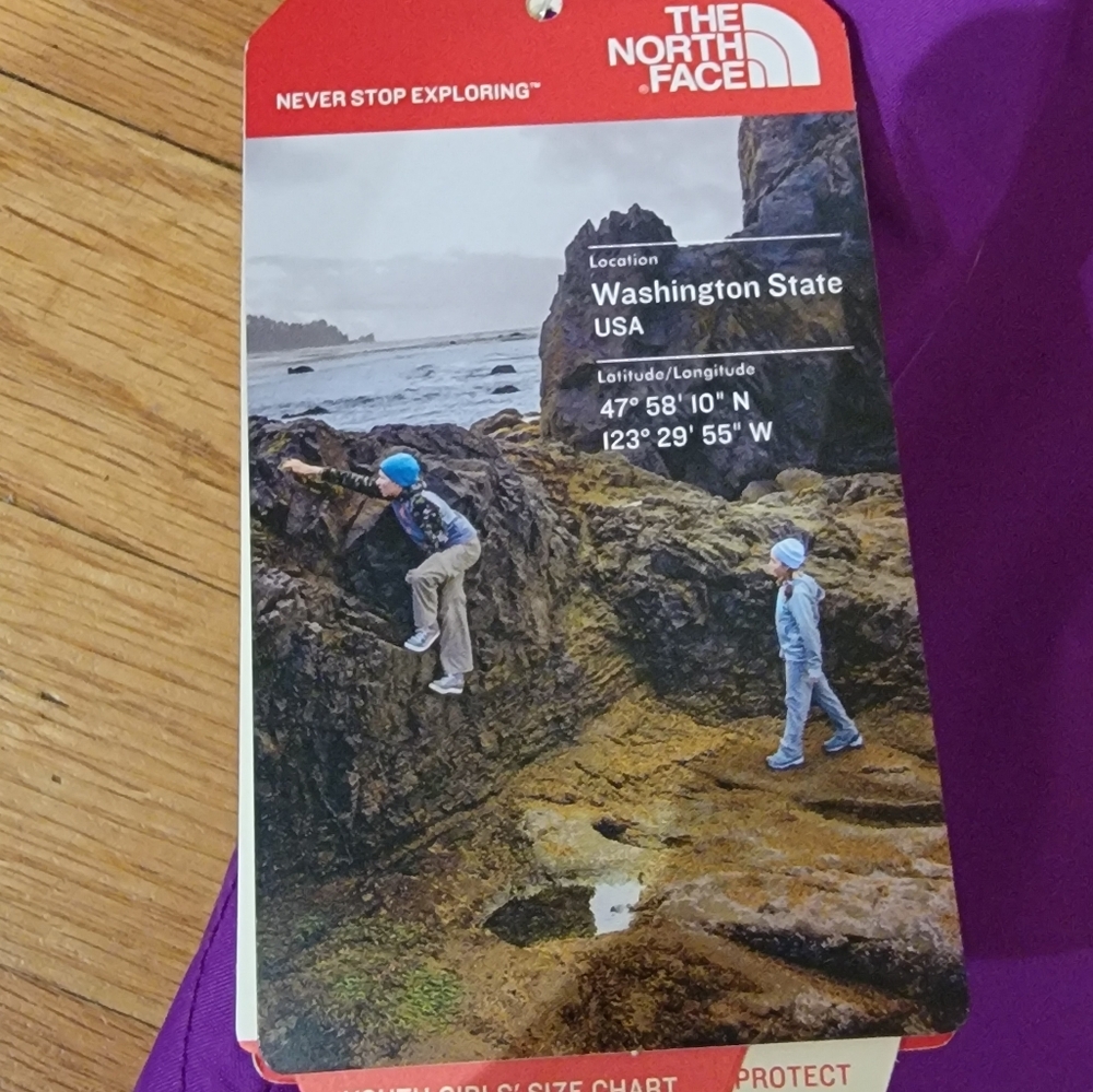 The North Face girls jacket size 10/12 in purple - Picture 4 of 4